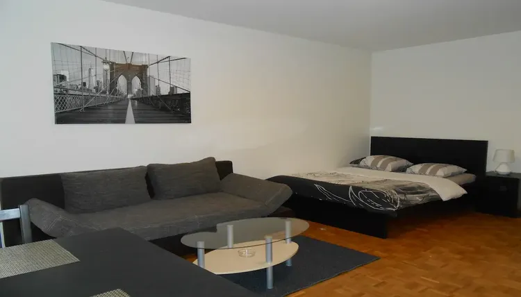 Comfortable and very nice studio apartment in Champel, Geneva Interior 4