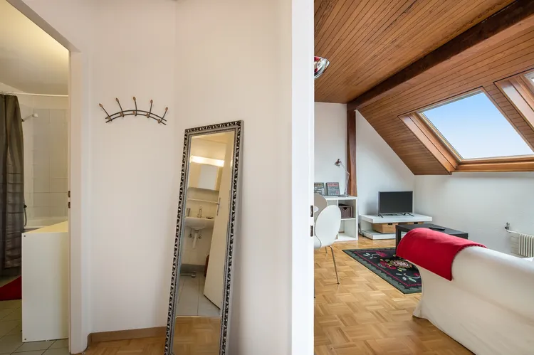Modern studio apartment in Nations, Geneva Interior 3