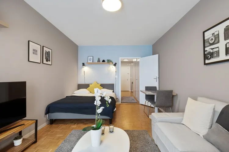 Cozy studio apartment low-budget in Nations, Geneva Interior 3