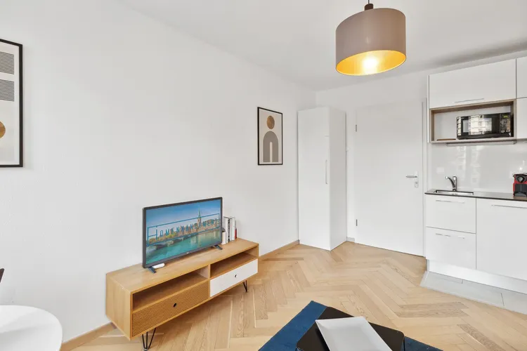 One bedroom, Albisriederplatz, Zurich Interior 1