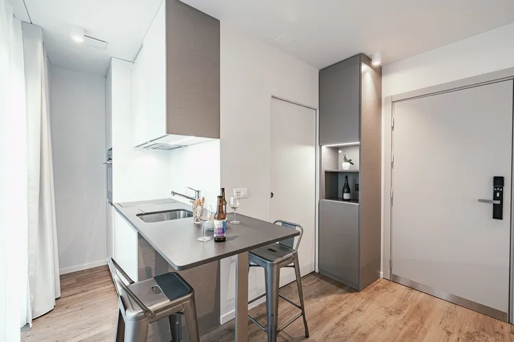 Modern and Bright Studio for Rent in the Heart of Geneva - Rue du Jura 13 Interior 3