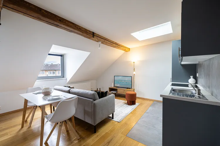 Beautiful studio located under the roofs of Avenue Wendt in Geneva Interior 2