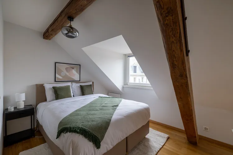 Beautiful studio located under the roofs of Avenue Wendt in Geneva Interior 4