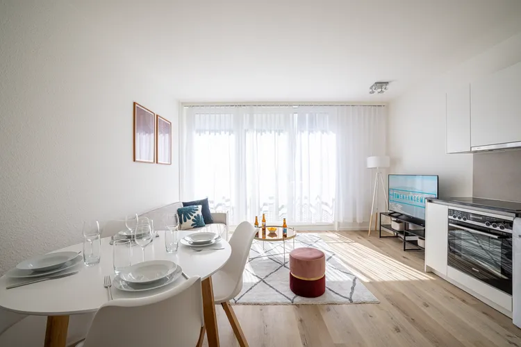 Business apartment in the city center of Geneva Interior 1